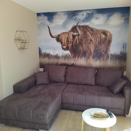 Ferienhof-Dachsberg Wohnung Highlander Bermatingen Eksteriør bilde