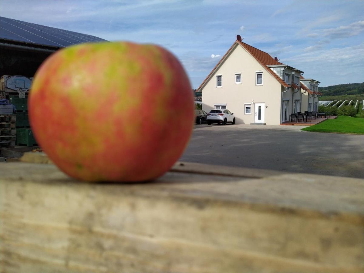 Ferienhof-Dachsberg Wohnung Highlander Bermatingen Eksteriør bilde